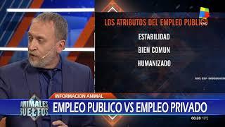 Estudio empleo público vs empleo privado- Animales Sueltos