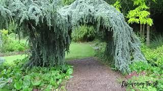 Bressingham Steam Museum & Gardens