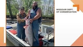 98-year-old fisherman catches monster paddlefish at Lake of the Ozarks