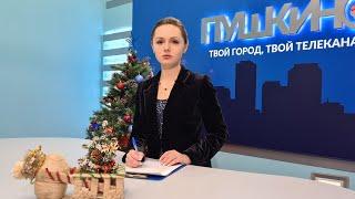 Новости Пушкинского округа 25.12.20 (61)