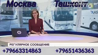 Прямой рейс Москва Ташкент автобус