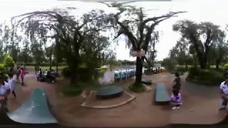 Burnham Park Baguio 360 video