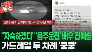 [자막뉴스] ＂자숙하겠다＂ '음주운전' 배우 진예솔, 가드레일 두 차례 '쿵쿵' | 이슈픽