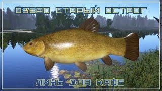 Линь на Старом Остроге для кафе - РР4┃maXS1k