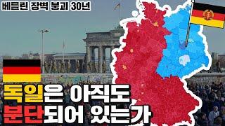 통일 후 30년, 소외된 동독의 분노