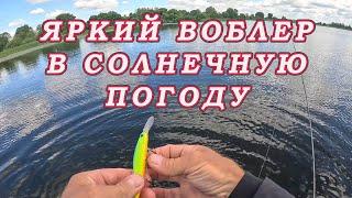 Сработал ОДИН ВОБЛЕР в Солнечную погоду! Прозрачный Поводок Влияет на Поклёвки крупного Окуня!?