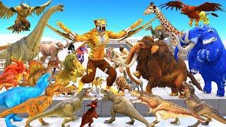 Death Run Who Will Win The Fight Saber Tooth vs Animals vs X5 T-Rex Dinosaurs Animal Revolt Battle