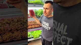 Микрозелень амаранта, здоровье вашего сердца