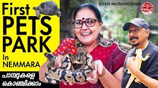 പാമ്പുകളെ കൊഞ്ചിക്കാം | Pets Park Nemmara | First Ever Pets Park In Nemmara  #SudhaMazhamegham