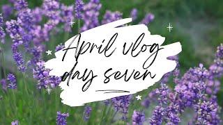 VEDA - day 7…..Q&A how and why did I start dyeing yarn?