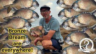 Bronze Bream are full up in East London | Practice for Round 1 of Bilimoria Fishing Classic