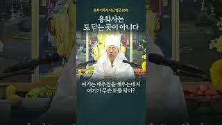 85 용화사는 도 닦는 곳이 아니다 용화미륵부처님 숏츠 85부 230101 5