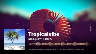  Mellow Vibes - Tropicalvibe  #relaxing #relaxingmusic #tropicalhouse #housemusic #sleepmusic