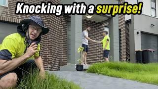 I Surprised Strangers With $1000 Free Lawn Makeover!