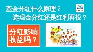 基金分红什么原理？该选现金分红还是红利再投？