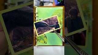 Scrapbooking | How to Train Your Dragon(2025) Live Action | Journaling