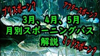 【琵琶湖】2020年スポーニングバスについて月別で解説するよ