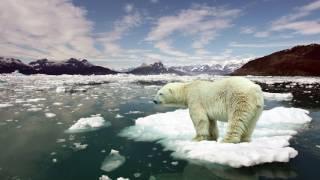 Climate Song