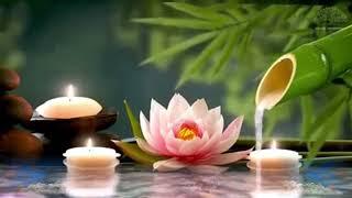 BAMBOO WATER FOUNTAIN, WATER SOUND.RELAXING PIANO MUSIC CALM FOR MEDITATION & DEEP SLEEP FOR WH 1 HR