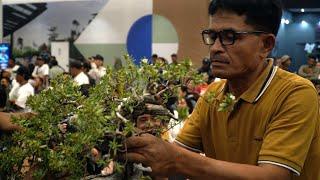 Yayat Hidayat Bonsai demo