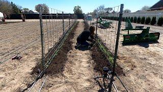 Planting Sweet Peas & Fertilizing the Lawn!  // Garden Answer