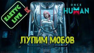 Once Human - Лупим мобов