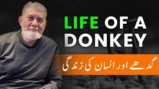 Life of a Donkey and and Human | Prof Dr Javed Iqbal |