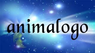 AnimaLogo - Professional Logo Animation and Logo Design Services