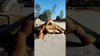 Squishy Monkey BIG SPLAT! #japan #funny #baby #squishy #monkey #funnymonkey #funnyanimal #cute
