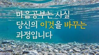 10년 전이나 지금이나 비슷하게 살고 있는 이유 | 마음공부는 이것을 바꿀 수 있습니다