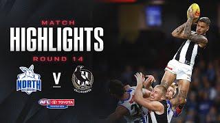 North Melbourne v Collingwood Highlights | Round 14, 2024 | AFL