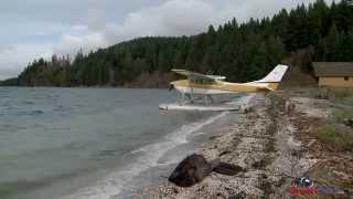 SmartPilot | Float Plane - Beaching