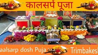 || KALSARP DOSH PUJA AT TRIMBAKESHWAR Nashik Pandit Anurag Guruji contact number, 7517486694, ||