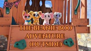 The Beanie Boo Adventure: Episode 1