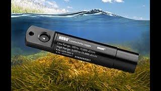 Connecting with Conductivity   Water Quality Monitoring Using HOBO Conductivity Salinity Data Logger