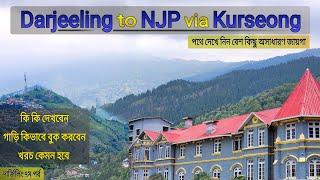 Darjeeling to NJP via Kurseong | Kurseong Tour | Bagora Pine Forest | Chimney Village | Dow Hill