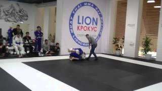 Slava 2 lion new year cup