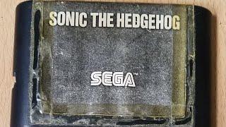 2021 YEAR OF SONIC BABY