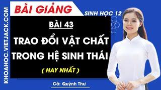 Trao đổi vật chất trong hệ sinh thái - Bài 43 - Sinh học 12 - Cô Quỳnh Thư (HAY NHẤT)