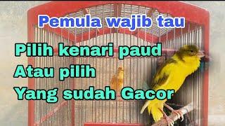 Pemula masih bingung Pilih kenari paud atau kenari yang sudah gacor,, simak video ini ya.