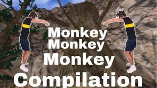 Monkey Monkey Monkey JMANCURLY Compilation