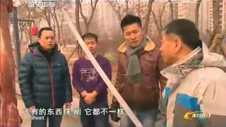 CCTV4 "Experience real kungfu" season2 : Piguan Quan