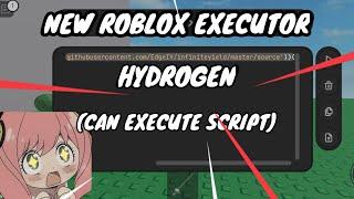 New Roblox Executor | Hydrogen | Can Execute Script!