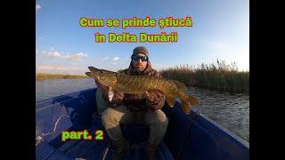 Pescuit la Stiuca la Spinning in Delta Dunarii pe Salbatic