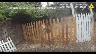 Officer rescues deer trapped in fence in Eugene