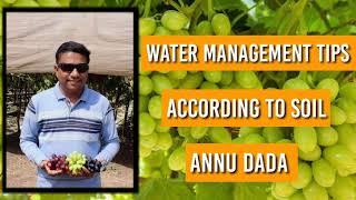 Water Management Tips | Annu Dada | Grapes Farming.