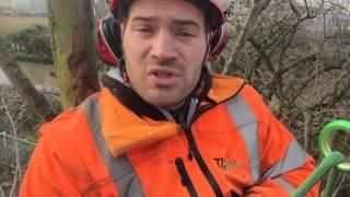 How do I become a tree surgeon