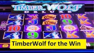 TimberWolf Deluxe Slot for Super Big Win! Wonder 4 Wonder Wheel