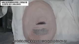 일산미용학원 피부국가자격증반 연습영상  MBC아카데미뷰티학원 고양일산점/일산피부국가자격증학원/일산피부학원/모델링팩