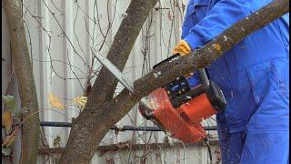 Обзор электрической цепной пилы Black+Decker CS2040